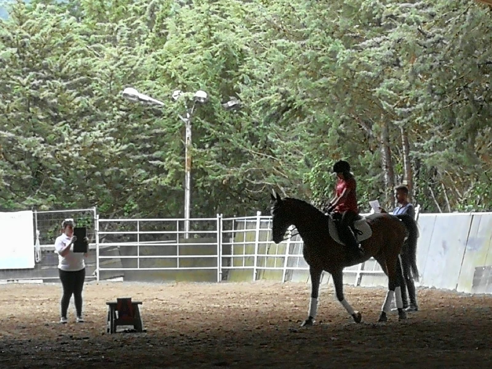 Finalizan las jornadas del Proyecto de Desarrollo Nacional de Estructuras Deportivas de la disciplina de Doma Clásica Adaptada